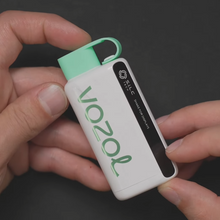 Load image into Gallery viewer, VOZOL Star 9000/12000 Disposable Vape Kit