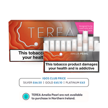 Load image into Gallery viewer, TEREA Tobacco Sticks